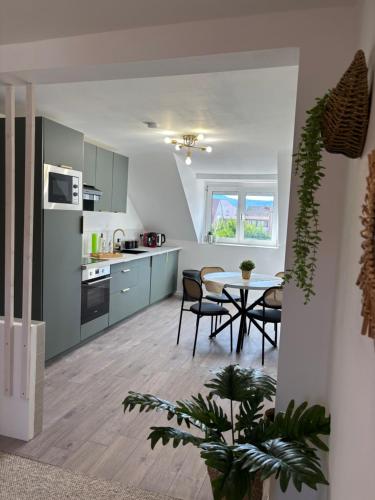 Le Col'Vert - Appartement 50m2 - Colmar Centre, Colmar