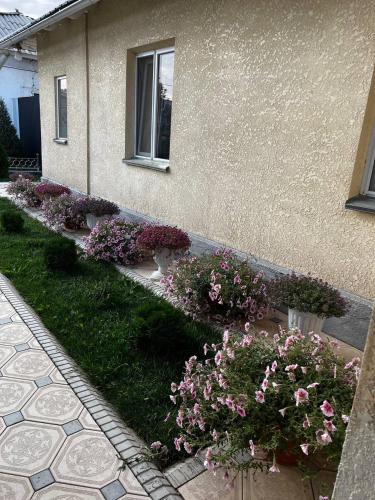 Guest House "MIDNIGHT" in Talas