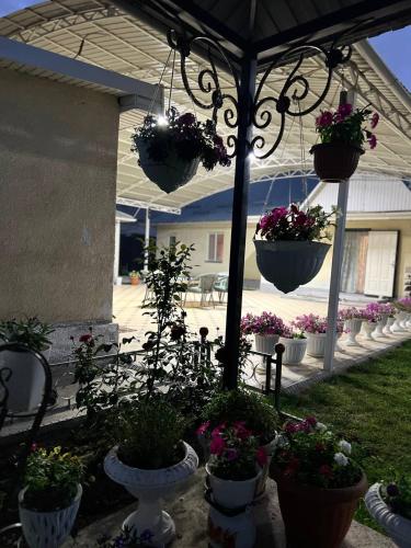 Guest House "MIDNIGHT" in Talas