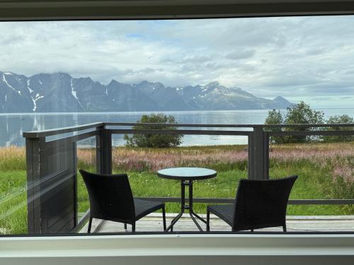 Lyngen Biarnes- Nordreisa in Rotsund