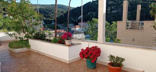 Apartman Mira in Povlja