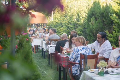 ODAYA Social Hotel Bansko - image 4