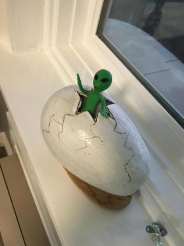 로스웰 인