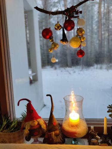 Garden, Lapin lomakoti yliopiston lahella in Ahkiomaa