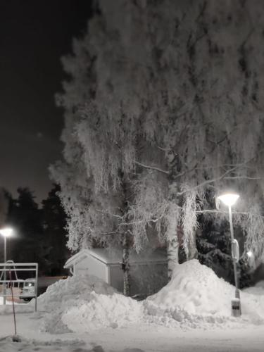 Lapin lomakoti yliopiston lahella in Ahkiomaa