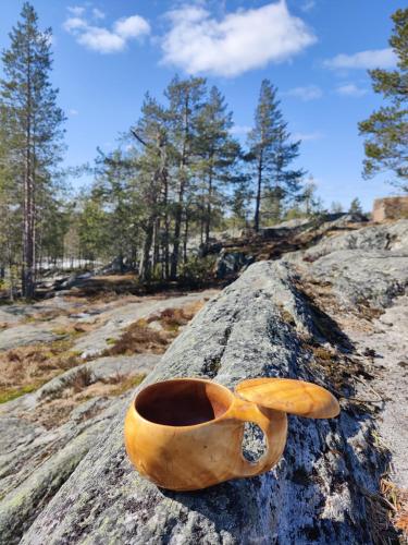 Surrounding environment, Lapin lomakoti yliopiston lahella in Ahkiomaa