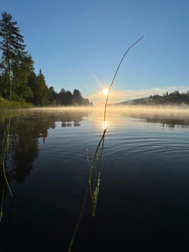 View, The Mokki in Lenhovda