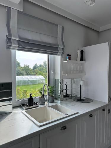 Apartament Polli