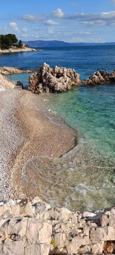 AriaDeMar
