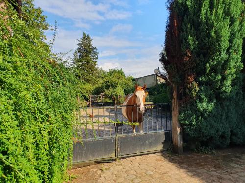 Proximity to Cité Internationale (Proximity to Cite Internationale) in Villers-Cotterets