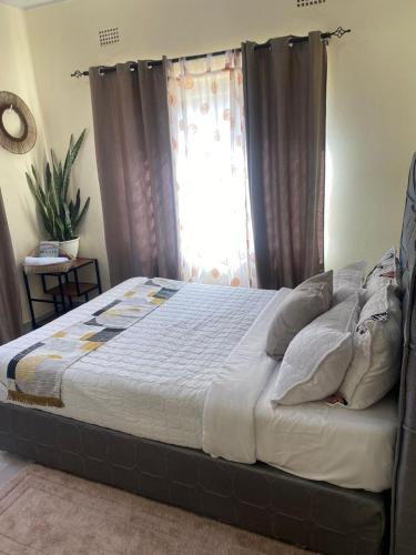 Natulu Apartment Livingstone