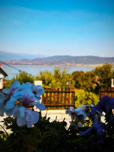 Vila V & S, Star Dojran (fotografie 8)