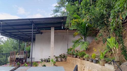 Mountain Manor Homestay - image 5