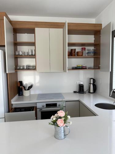 Зручності, Villa Novara in Meselik