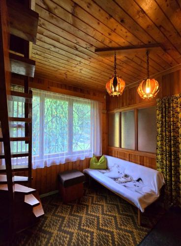 Chata pri jazierku - Cottage by the Little Lake in Vysna Boca