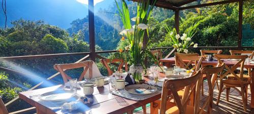 El Color de Mis Reves in Tesorito