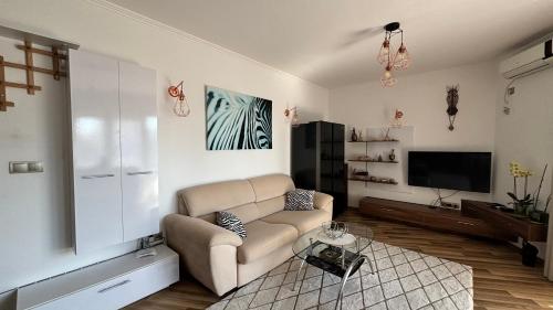 Luxury rest Dolphin Club