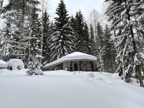 Villarkala in Paaso