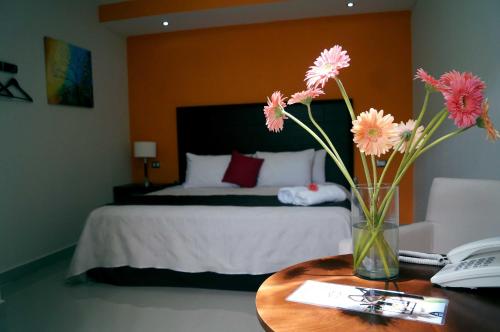 Hotel Casa Palomino in Mérida, Mexico