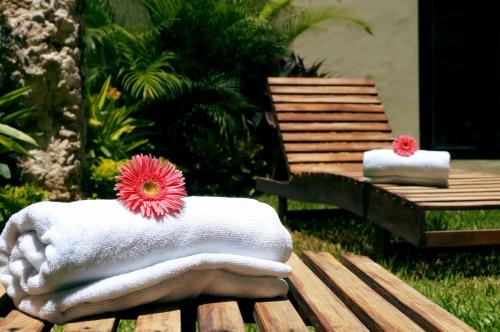 Hotel Casa Palomino in Mérida, Mexico