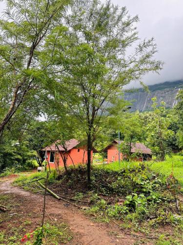 Jungle homes in Kollengode