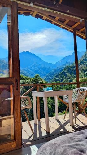 El Color de Mis Reves in Tesorito