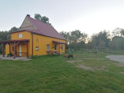 Haus 6 am Fluß