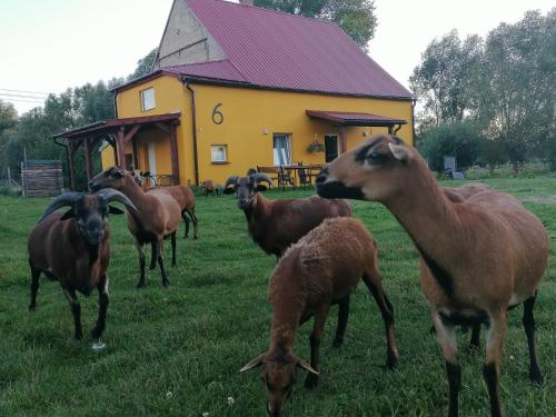 Haus 6 am Fluß