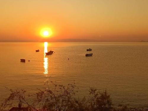 Beach House Antonis in Avlakia