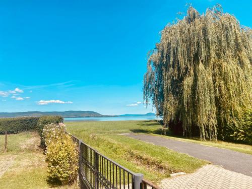 Kert, Rose Lakeside Apartman in Balatonberény