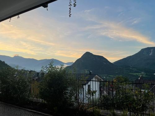 Vistas, Il fiore del Calisio in Trento