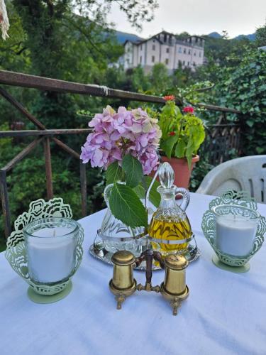 Rustico Leonardo - la dolce vita italiana in Sant'Omobono Terme