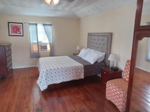 Beautiful home with pool in Mandeville