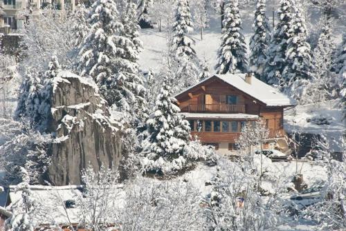 Three-star apartment in a family chalet - Location saisonnière - Villard-de-Lans