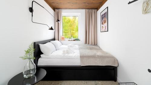 W Naturze - Apartament dla Aktywnych z Widokiem na Las, Szlaki, Rowery, Biegówki, blisko Jakuszyc i Czech, Szklarska Poręba
