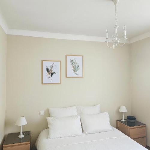 Maison confortable avec 3 chambres et jardin clos, idéale familles et curistes à Salies-de-Béarn (Maison confortable avec 3 chambres et jardin clos, ideale familles et curistes a Salies-de-Bearn) in Salies-de-Bearn