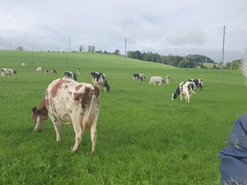 Working person in Epauvillers