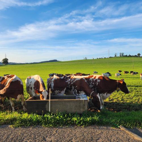 Working person in Epauvillers