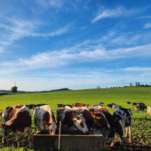 Working person in Epauvillers