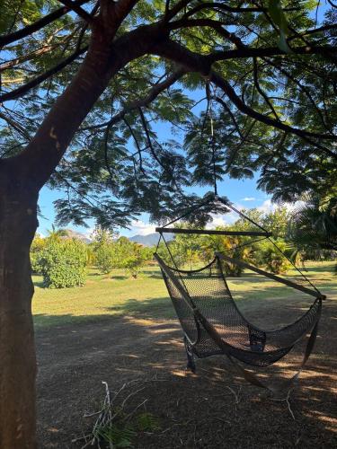 Island Glamping at Nanumi Au Eco Village in Rakiraki
