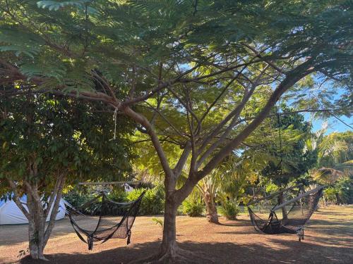 Island Glamping at Nanumi Au Eco Village in Rakiraki