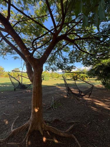Island Glamping at Nanumi Au Eco Village in Rakiraki