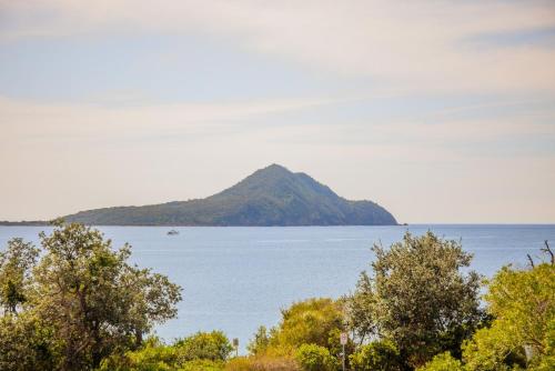 Albacore 5, Nelson Bay