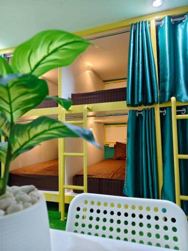 バナナ バンクハウス ホステル (Banana Bunkhouse Hostel) in ラワイ