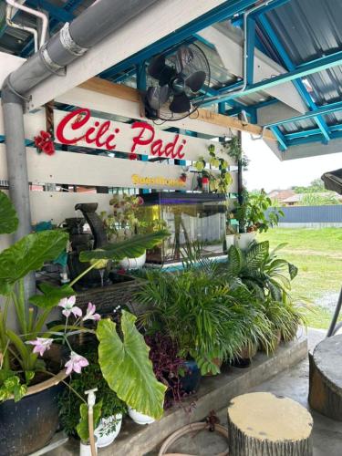CILI PADI GUESTHOUSE