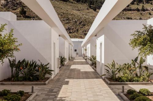 Casa Cook Rhodes (Adults Only) - image 9