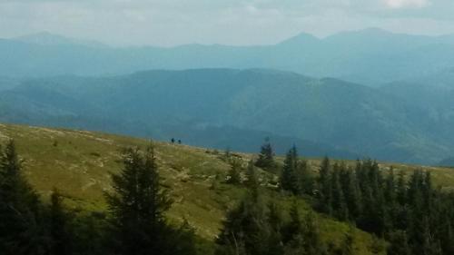 Sport és szabadidő, Chalet TysaBorkut in Kvasy