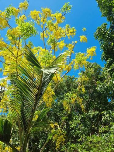 Kert, Maison confortable au Bois des Nefles, 70 m² avec piscine partagee in Saint Paul