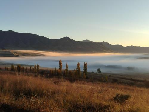 Qadosh in Clarens