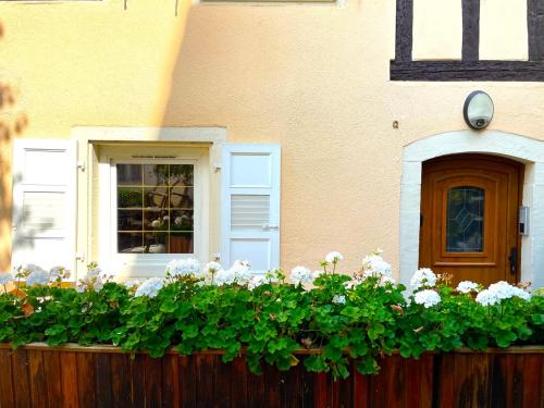 la source, Strasbourg (photo 8)